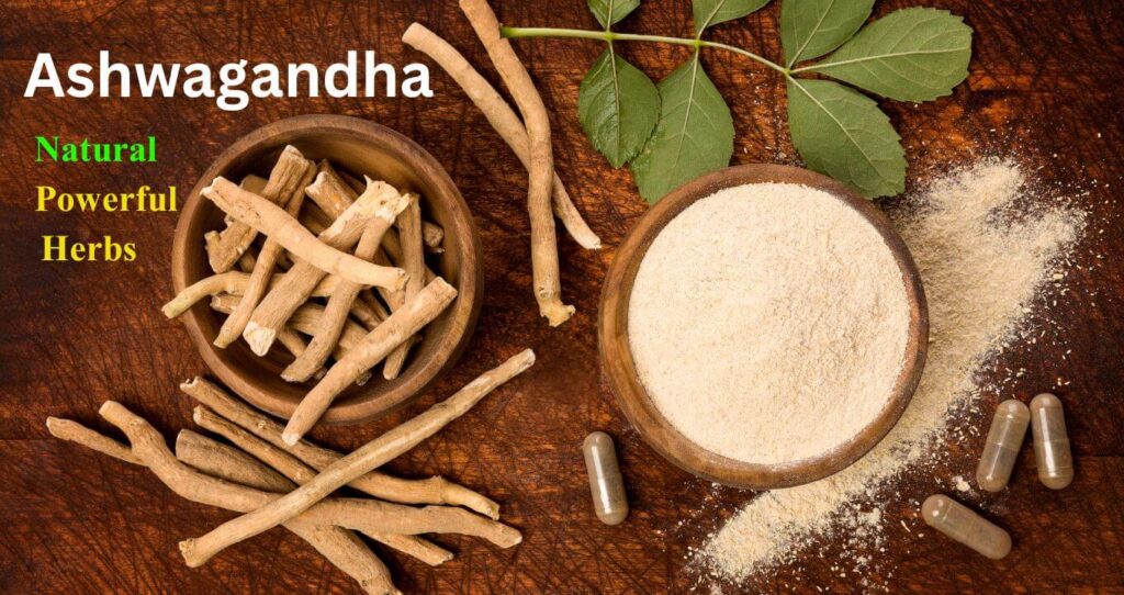 Ashwagandha: Benefits for Stress, Sleep & Energy